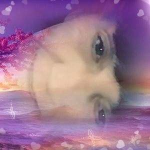 Meet your Posher, Audressbb